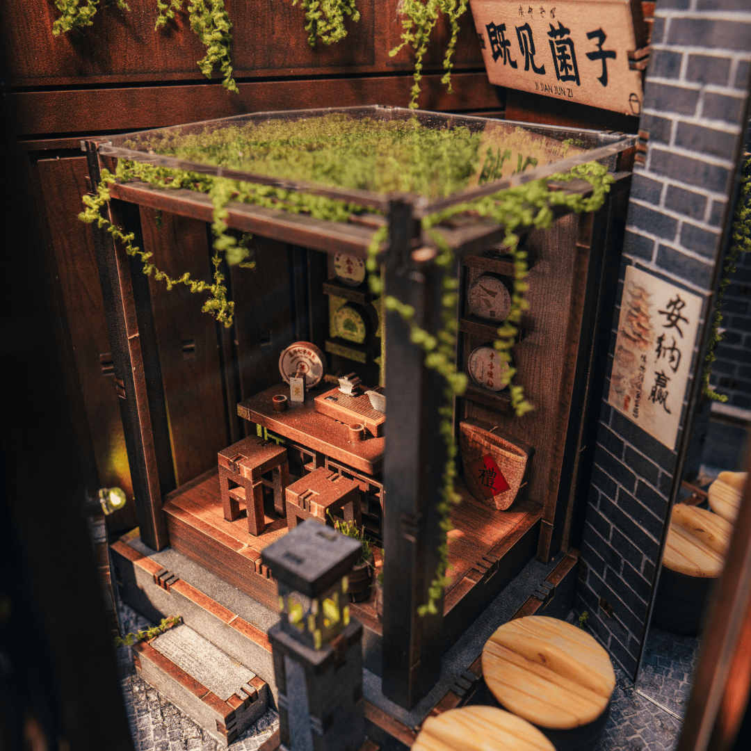 ANAVRIN – LIJIANG ANCIENT TOWN BOOK NOOK KIT 5