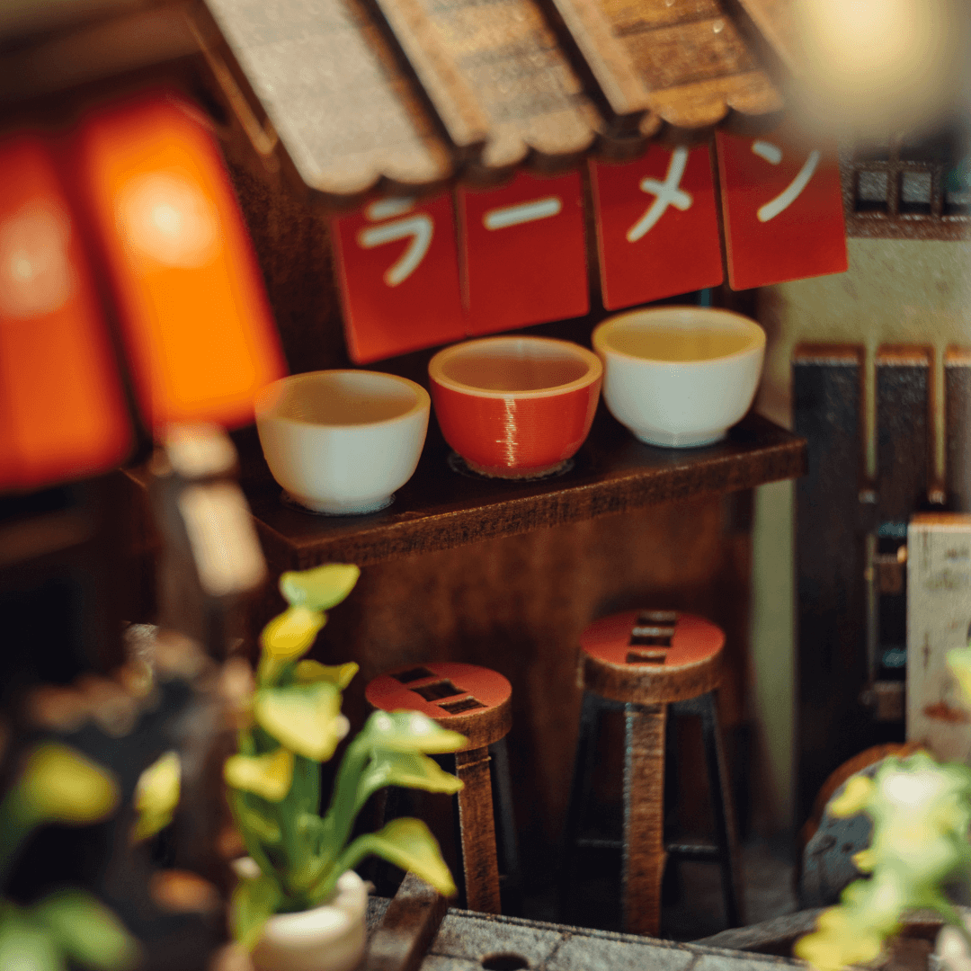 ANAVRIN – KYOTO GION BOOK NOOK KIT 7