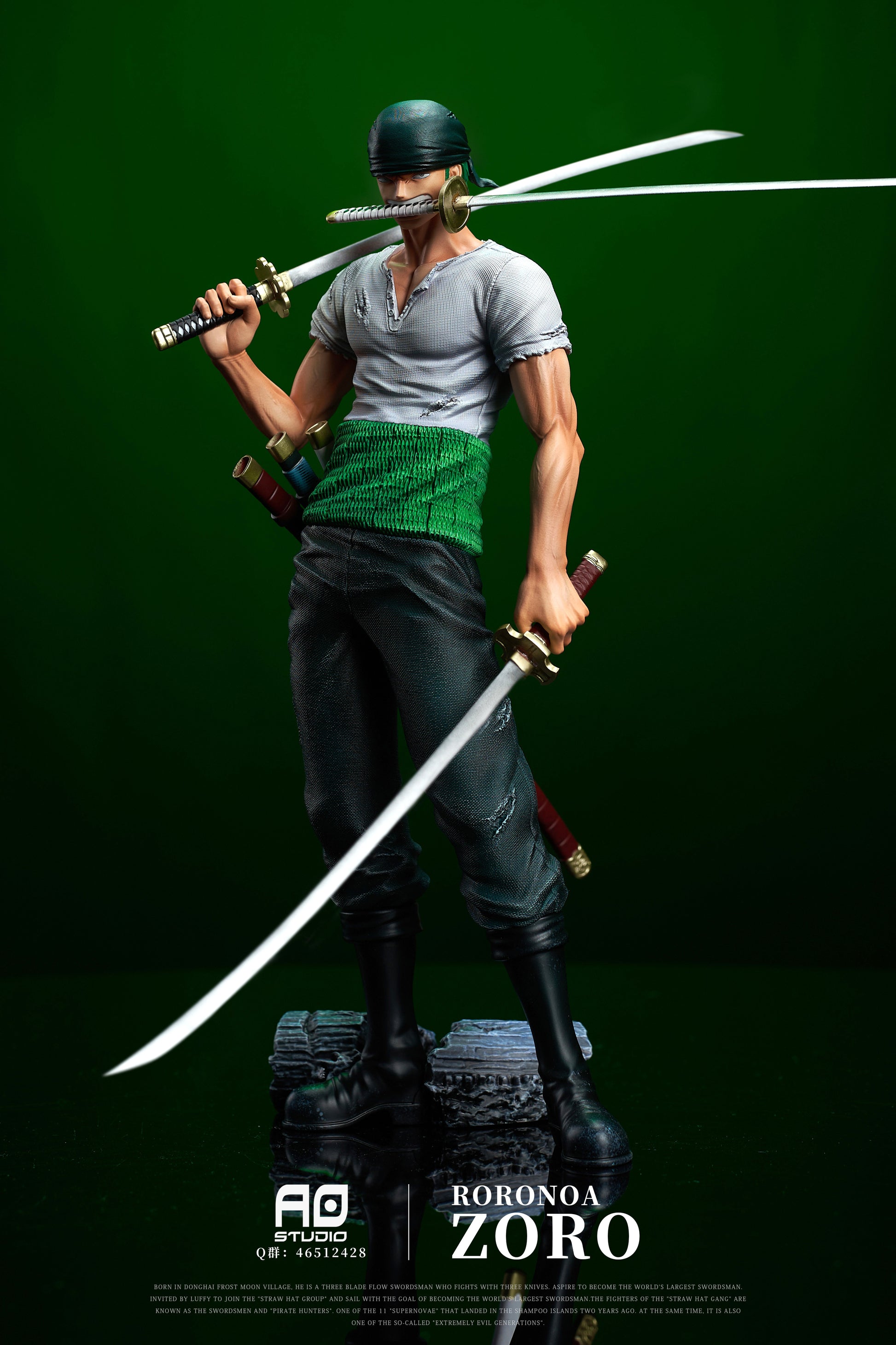 Zoro Time Skip