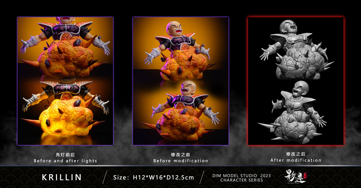 DIM MODEL STUDIO – DRAGON BALL Z: CHARACTER SERIES, INDIGNATION FORM GOKU [SOLD OUT]