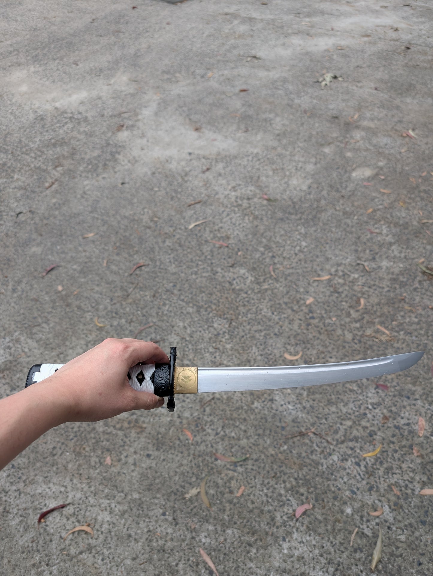 GHOST OF TSUSHIMA – THE STORM OF CLAN SAKAI, THE SWORD OF JIN SAKAI