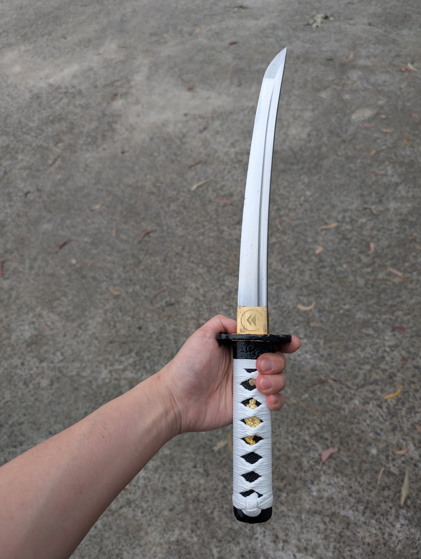 GHOST OF TSUSHIMA – THE STORM OF CLAN SAKAI, THE SWORD OF JIN SAKAI