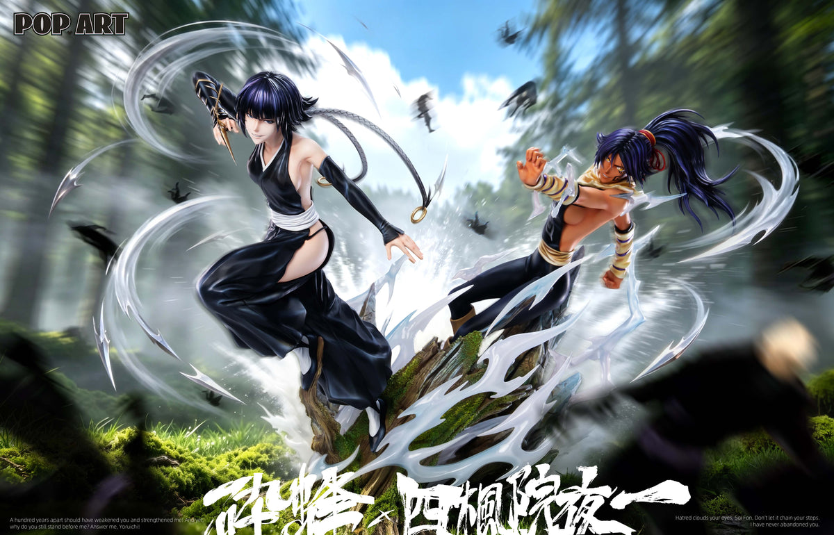 POP ART STUDIO - BLEACH SOIFON AND YORUICHI 13