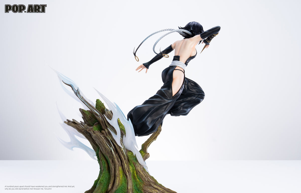 POP ART STUDIO - BLEACH SOIFON AND YORUICHI 7