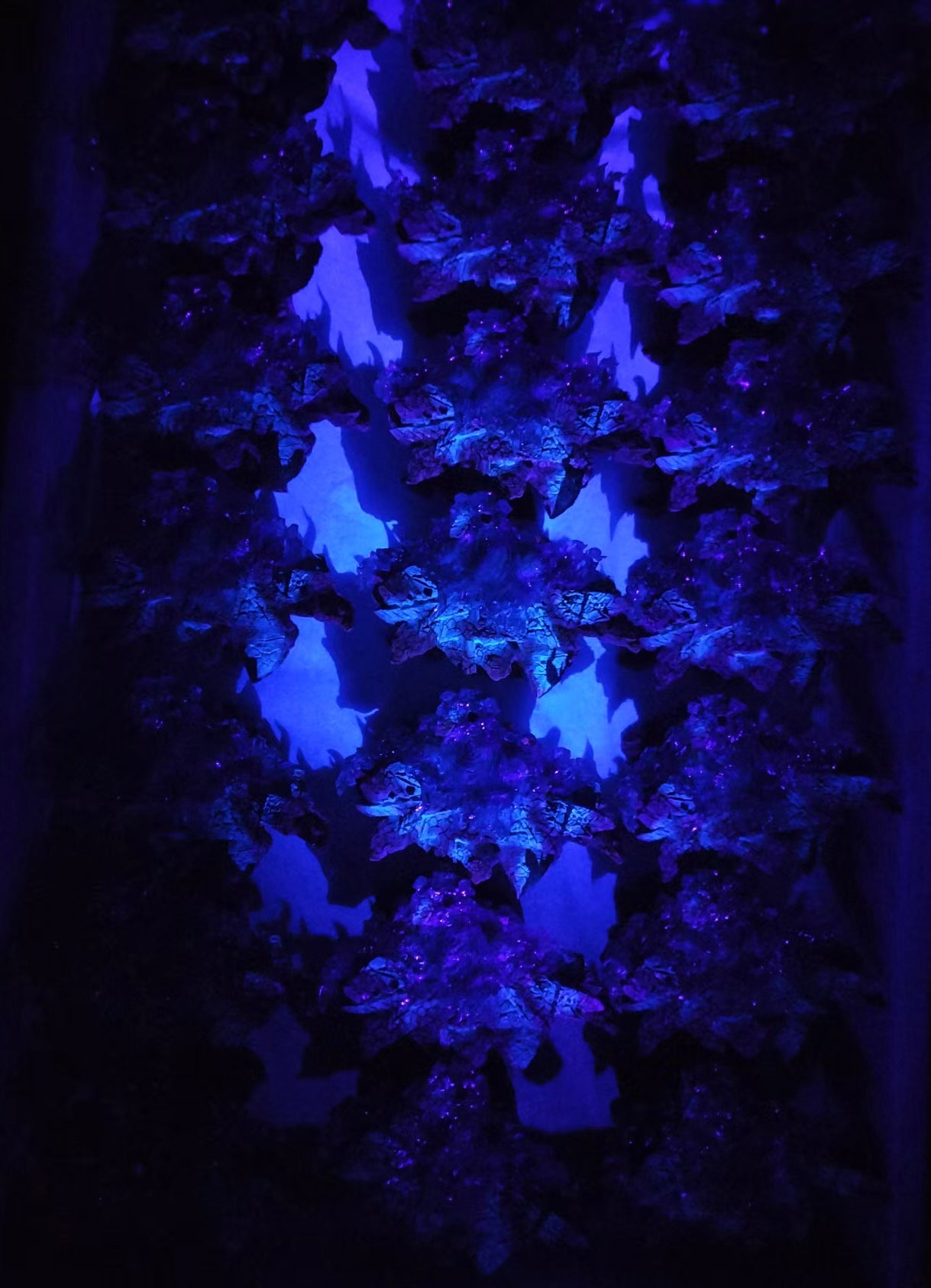 S6 STUDIO – MONSTER HUNTER: 16. SAFI'JIIVA [IN STOCK]