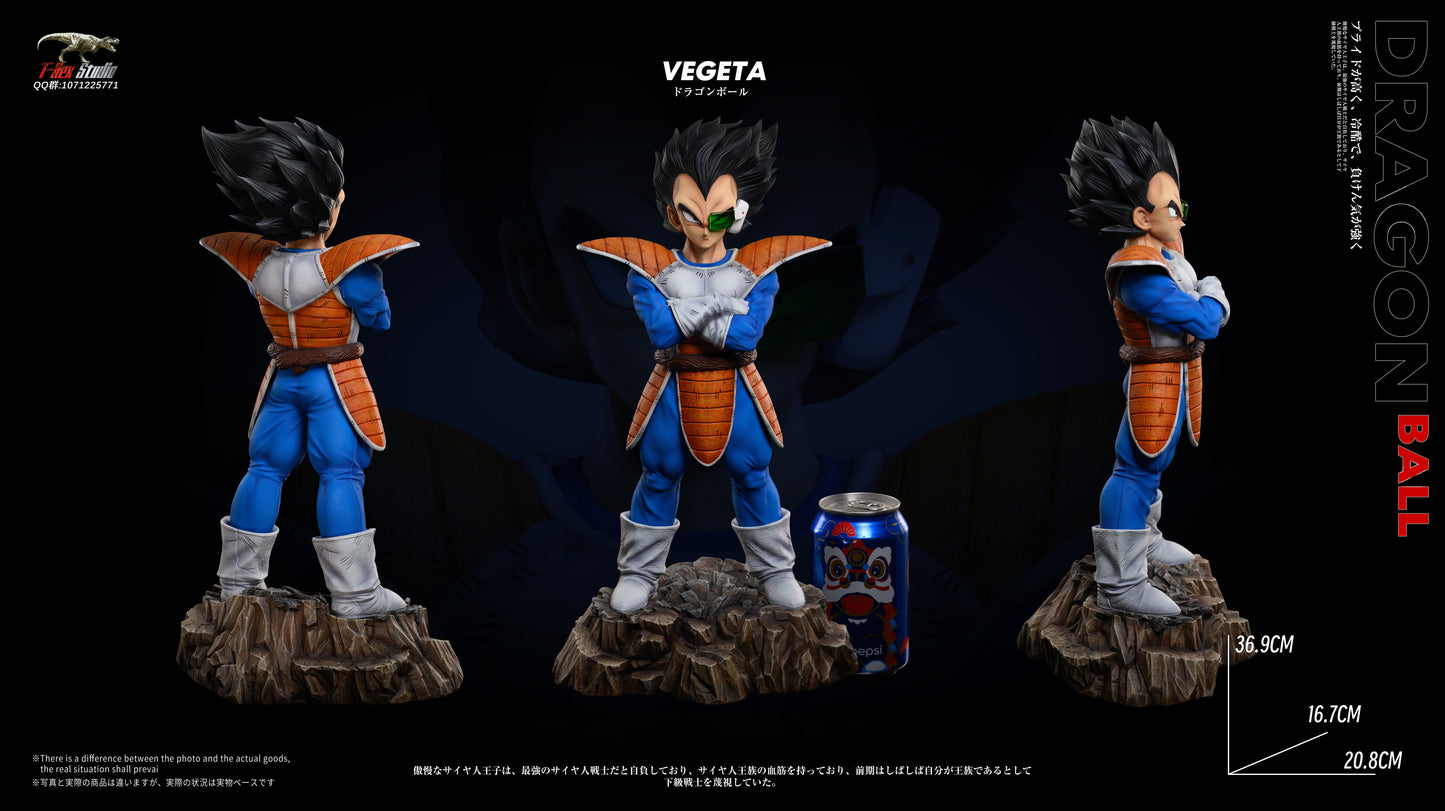 T-REX STUDIO – DRAGON BALL Z: SAIYAN INVASION TRIO, VEGETA, NAPPA AND RADITZ [IN STOCK]