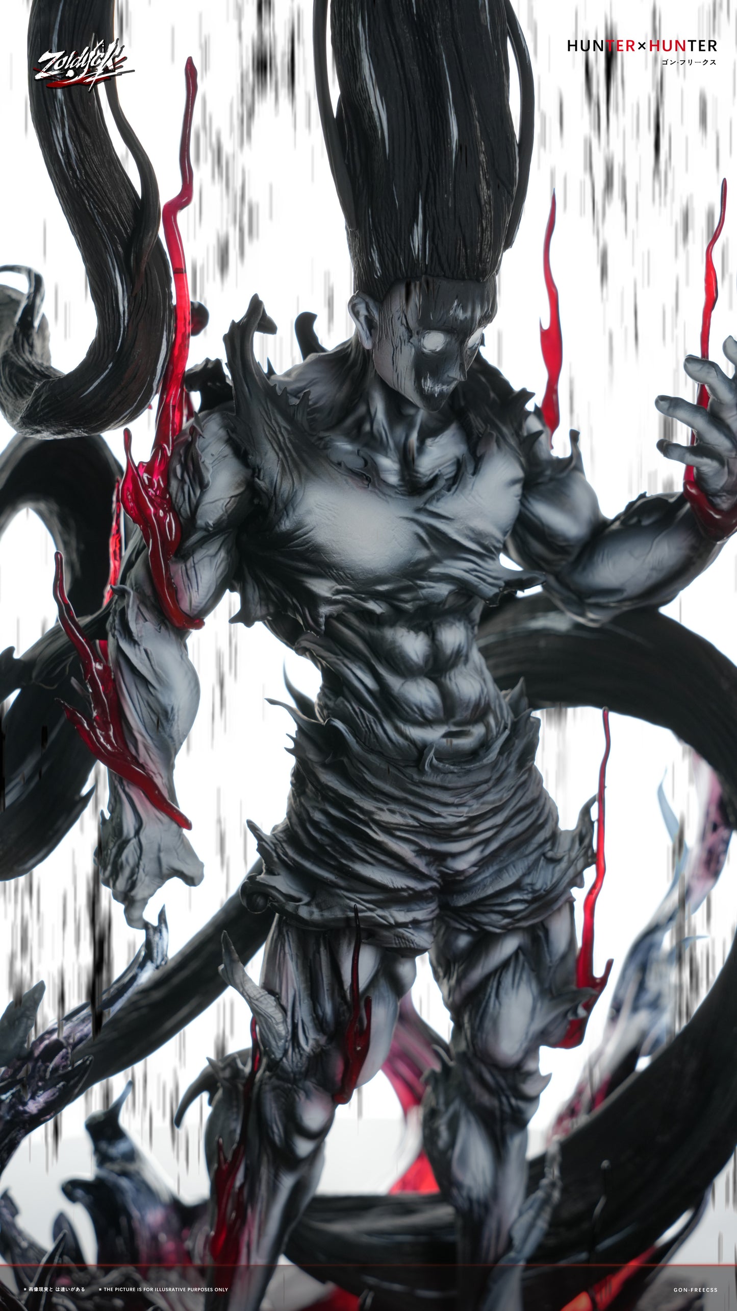 ZOLDYCK STUDIO - HUNTER x HUNTER LIMITATION TRANSFORMATION GON 1
