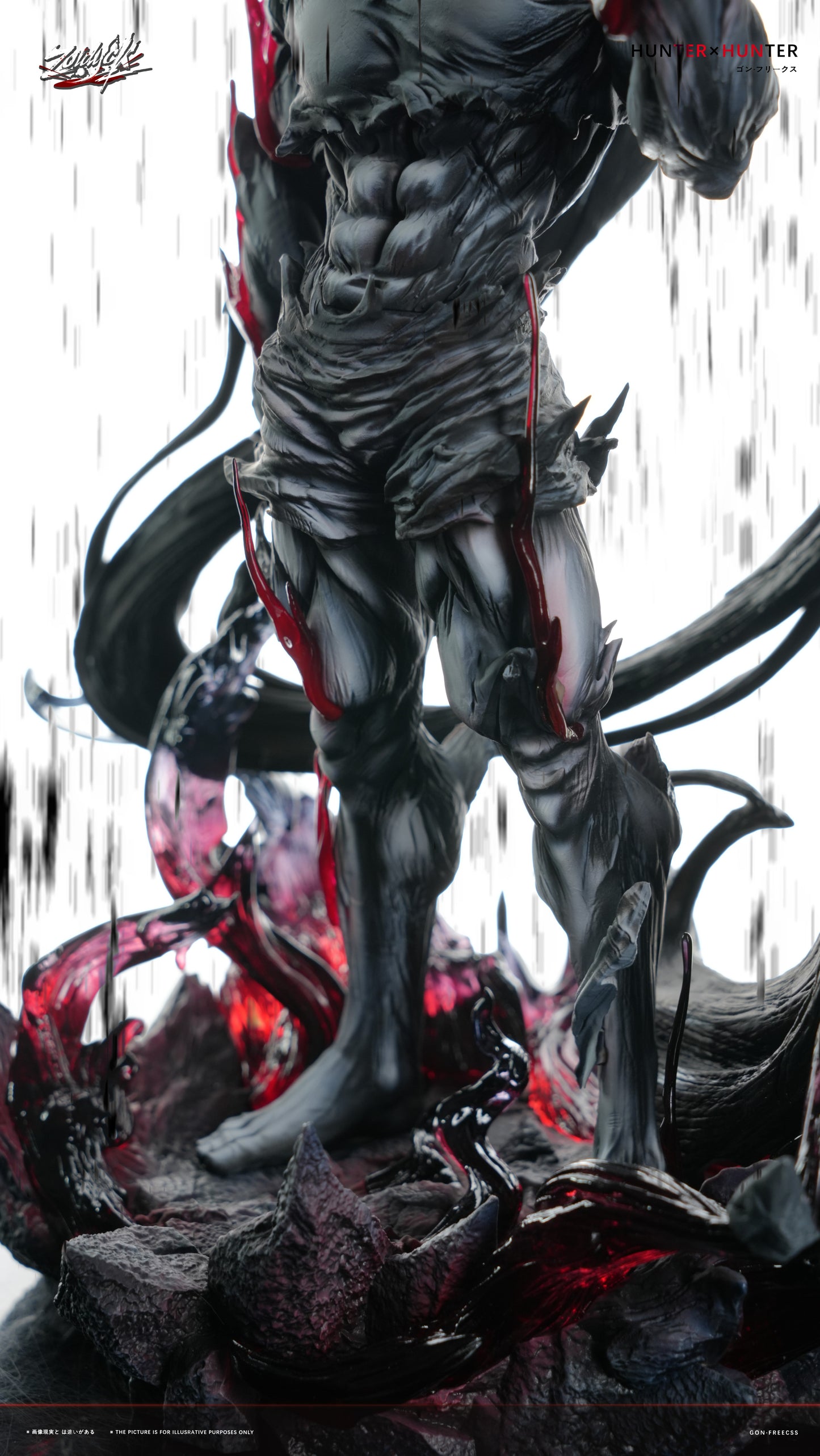 ZOLDYCK STUDIO - HUNTER x HUNTER LIMITATION TRANSFORMATION GON 11