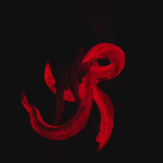 DAMOCLES STUDIO - TOKYO GHOUL WHITE-HAIRED KEN KANEKI 10