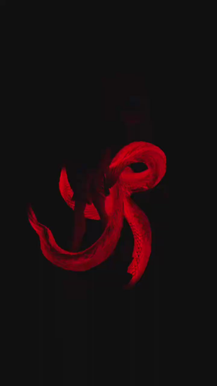 DAMOCLES STUDIO - TOKYO GHOUL WHITE-HAIRED KEN KANEKI 10