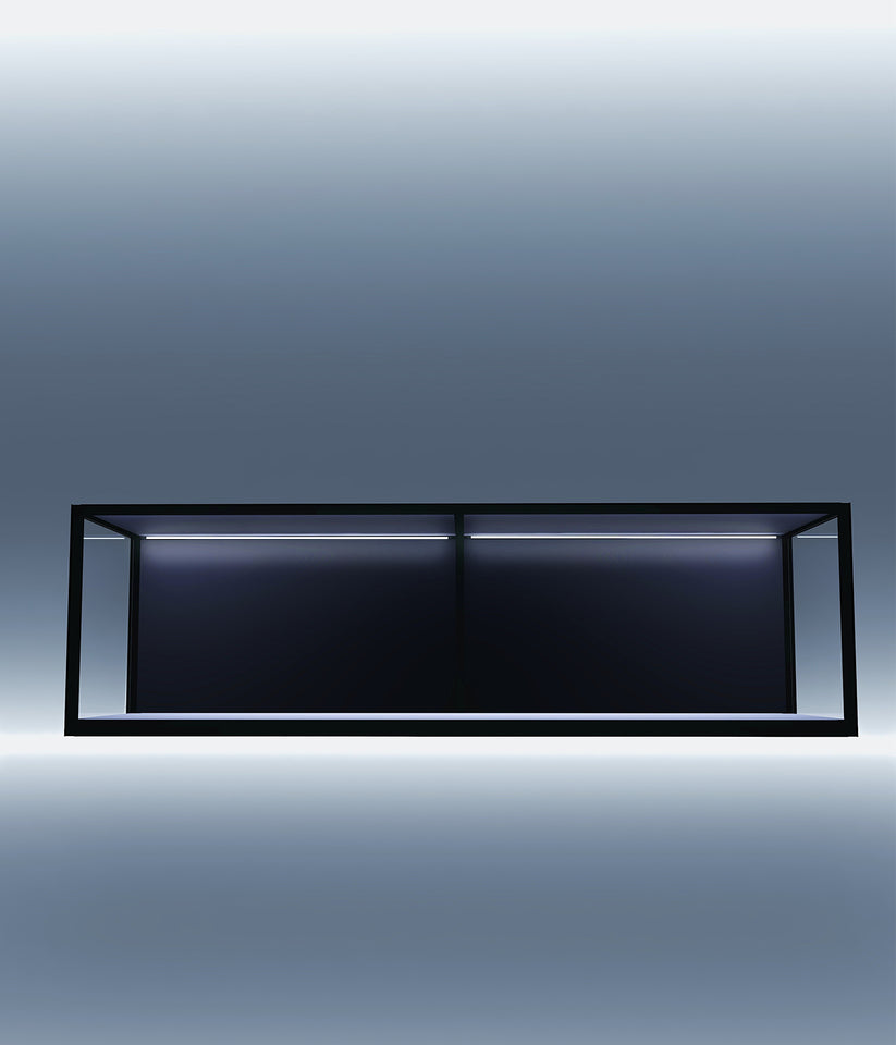 MODUSPACE – SIXTH165 DISPLAY BOX [PRE-ORDER] – FF COLLECTIBLES