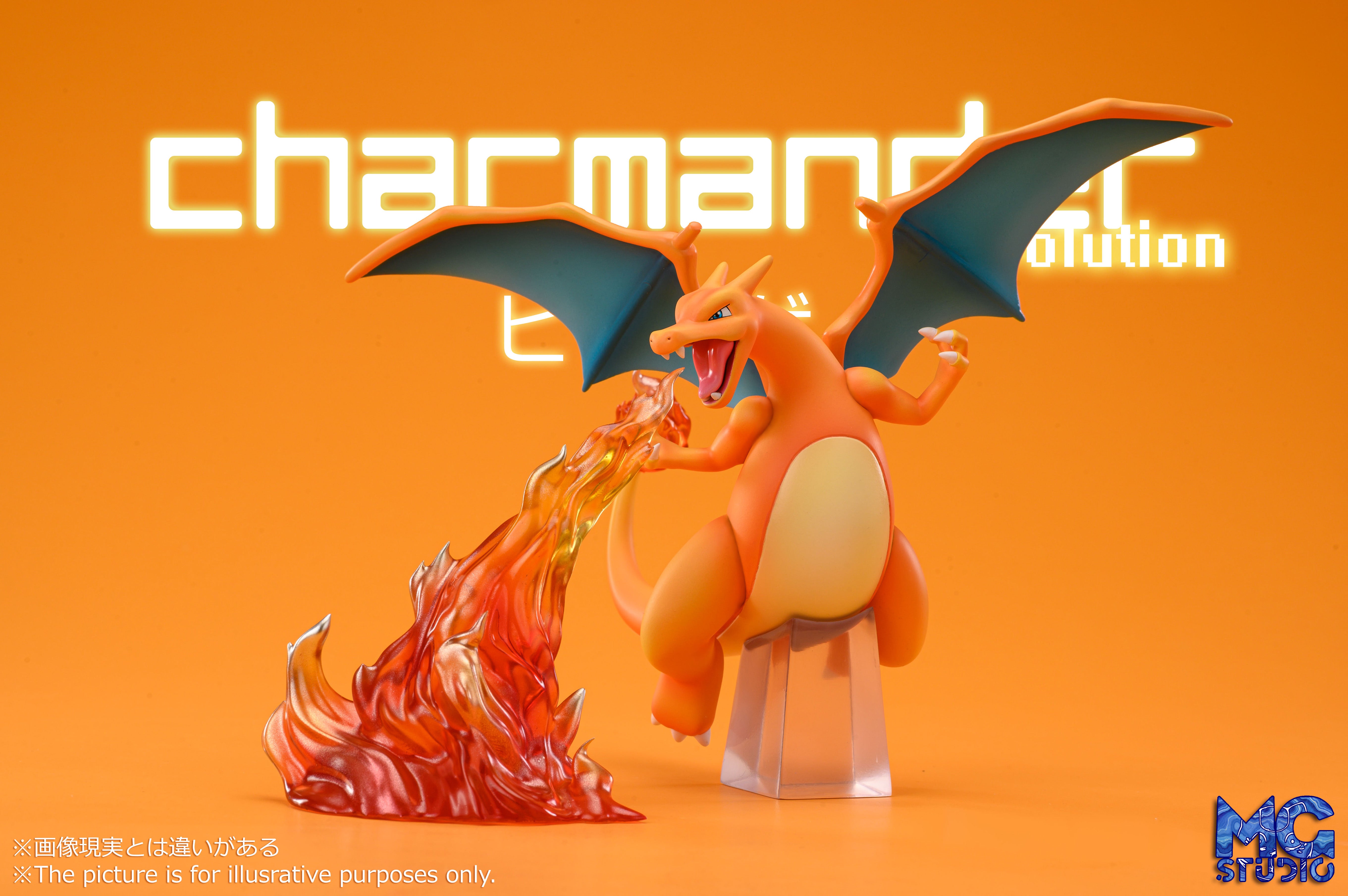 MG STUDIO – POKEMON: SCALE WORLD SERIES, CHARIZARD EVOLUTION FAMILY [I ...