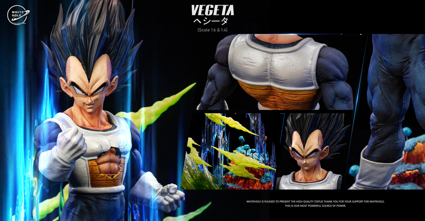 WHITE HOLE STUDIO – DRAGON BALL Z: NAMEK SERIES, BASIC BATTLE ARMOUR VEGETA [PRE-ORDER]