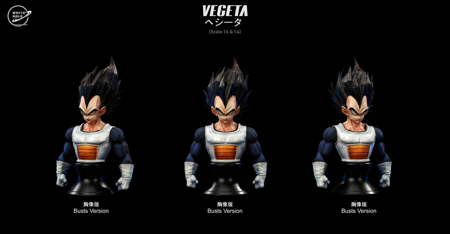 WHITE HOLE STUDIO – DRAGON BALL Z: NAMEK SERIES, BASIC BATTLE ARMOUR VEGETA [PRE-ORDER]